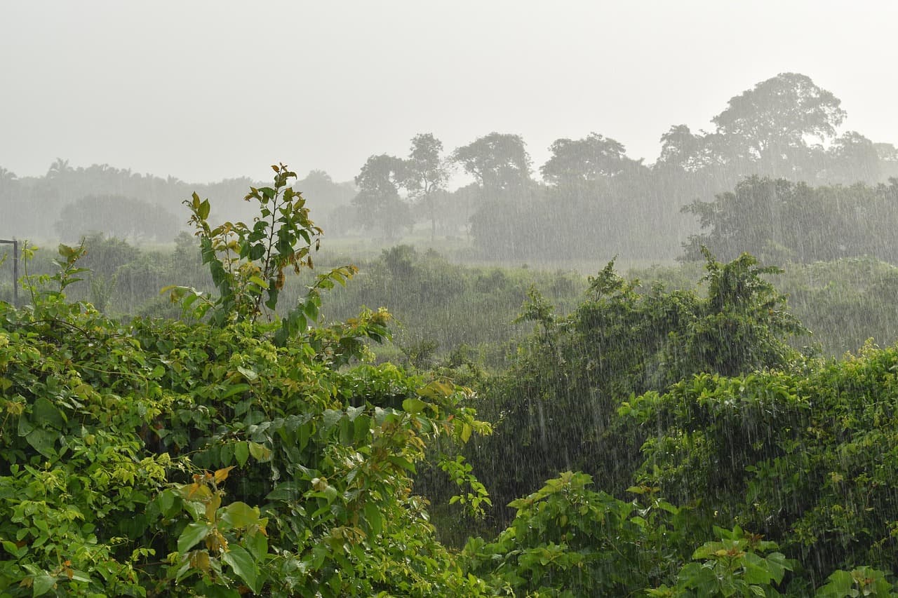 Pluie torrentielle sur une rivière de montagne entourée de forêt